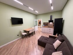 2-��������� �������� � 55 �² � 11/13 ����, ��������� 348/1 ���� 3