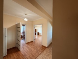 ��������� �������� ������, ����������� �-�, ���������, 101 ���� 5