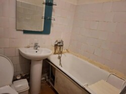 ��������� �������� ������, ����������� �-�, ��������� �����, 26 ���� 5