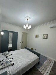 ��������� �������� ������, ������������� �-�, ����������� � ���������, 310 ���� 5