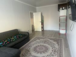 2-��������� �������� � 43,1 �² � 3/7 ����, �������� ������ 169 ���� 16