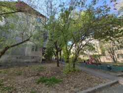 ��������� �������� ������, ������������� �-�, �������, 23 ���� 29