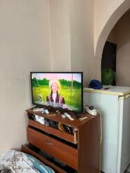 ��������� �������� ������, ����������� �-�, �������, 11 ���� 6