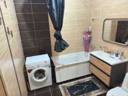 ��������� �������� ������, ������������� �-�, �������� ����, 150/230 ���� 11