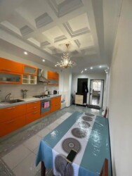 ��������� �������� ������, ��������� �-�, �����������, 85 ���� 7