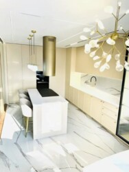 ��������� �������� ������, ������������� �-�, �����������, 245 ���� 6