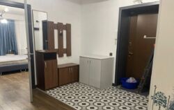 ��������� �������� ������, ������������� �-�, ����������, 43 ���� 2