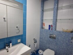 ��������� �������� ������, ����������� �-�, �������������, 163 ���� 13