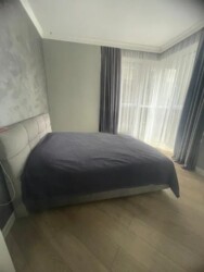 ��������� �������� ������, ������������� �-�, ����, 164 ���� 12