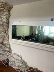 ��������� �������� ������, ������������� �-�, ���������, 10 ���� 3