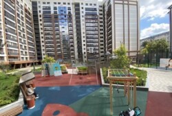 ��������� �������� ������, ����������� �-�, ��������� ������, 50 ���� 1