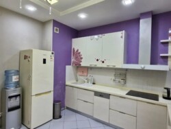 ��������� �������� ������, ����������� �-�, �������������, 163 ���� 8