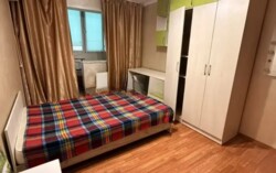 ������ ���� 5