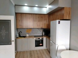 2-��������� �������� � 43.5 �² � 11/17 ����, ������ �������� 133/1 ���� 3