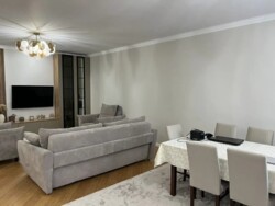 3-��������� �������� � 120 �² � 10/13 ����, ���-������ 101 ���� 29