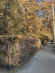 1-комнатная квартира · 12 м² · 4/5 этаж, Мухамеджана Тынышбаева 1 фото 14 1-комнатная квартира · 12 м² · 4/5 этаж, Мухамеджана Тынышбаева 1 фото 14