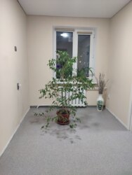 �-� ��������� �������� ���� 15