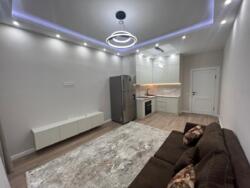 ��������� �������� ������, ���������� �-�, ������ ������, 11� ���� 7