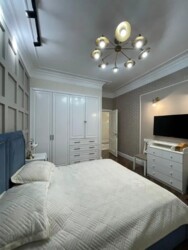 ��������� �������� ������, ������������� �-�, �����������, 247 ���� 7