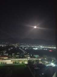 ��������� �������� ������, ������������� �-�, ���. ������, �����, 28 ���� 28