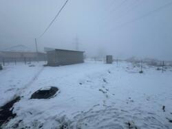 ��������� �������� ����������� ���., ������, ��������� ���� 7