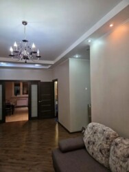 ��������� �������� ������, ����������� �-�, �������������, 163 ���� 4