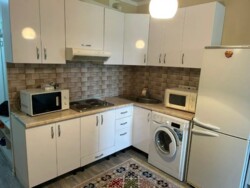 ��������� �������� ������, ����������� �-�, ��������, 85 ���� 1