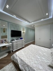 ��������� �������� ������, ������������� �-�, �����������, 247 ���� 8