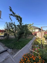 ��������� �������� ����������� ���., �������, �������� ���� 27