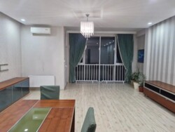 ��������� �������� ������, ����������� �-�, �������������, 163 ���� 1