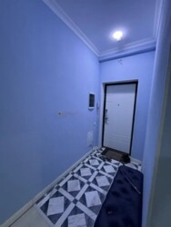 ��������� �������� ������, ������������� �-�, ��������, 311 ���� 3