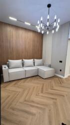 ��������� �������� ������, ������������� �-�, ��������, 310 ���� 10