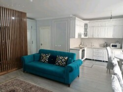 ��������� �������� ������, ����������� �-�, ���������, 131 ���� 3