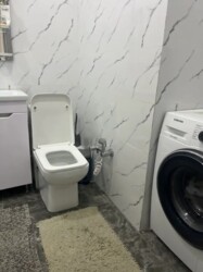 ��������� �������� ������, ������������� �-�, ����, 164 ���� 8