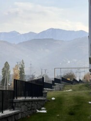 ��������� �������� ������, ������������� �-� ���� 6