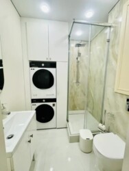 ��������� �������� ������, ������������� �-�, �����������, 245 ���� 3