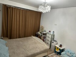 ��������� �������� ������, ���������� �-�, ��� ������ ��������, 213 ���� 3