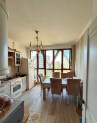 ��������� �������� ������, ������������� �-�, ����, 202 ���� 5