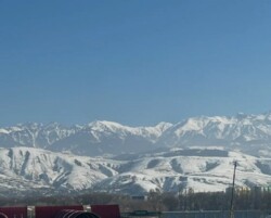 ��������� �������� ������, ����������� �-�, ���������� ������, 303/5 ���� 9