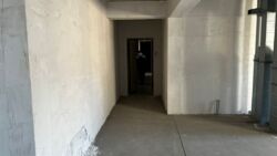 ��������� �������� ������, ����������� �-�, ����������, 51/6 ���� 5