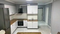 ��������� �������� ������, ����������� �-�, ����������, 14 ���� 11