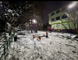 2-��������� �������� � 43 �² � 2/4 ����, ����� 24/1 ���� 10