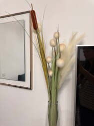 1-��������� �������� � 42.7 �² � 10/12 ����, ������ ����� 165 � ���� - ������ ����� ���� 10