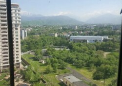 ��������� �������� ������, ������������� �-�, ���������, 76 ���� 15