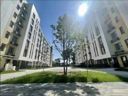 ��������� �������� ������, ��������� �-�, ���������� ������, 11 �1 ���� 5