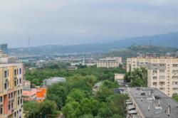 ��������� �������� ������, ������������� �-�, ��������, 245 ���� 14