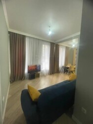 ��������� �������� ������, ������������� �-�, ����, 164 ���� 11