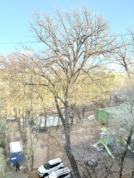 ��������� �������� ������, ��������� �-�, ���. ����� - 3, ������, 103/40 ���� 16