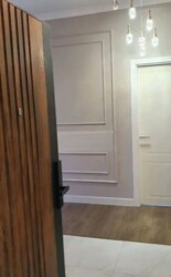 ��������� �������� ������, ������������� �-�, ��������, 233 ���� 7