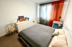 ��������� �������� ������, ������������� �-�, ����������, 91 ���� 11